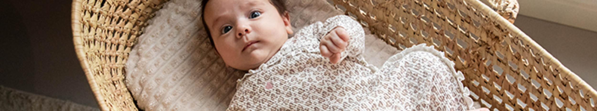 banner-spring25-1